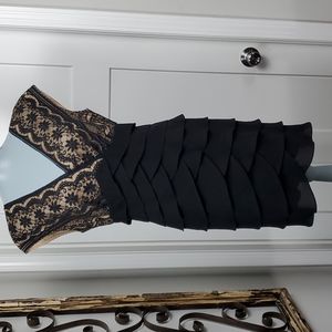 Adrianna Papell, Black & Nude Lace Bodice, Black Tiered Skirt, Dress Size 10